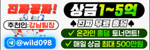 와일드홀덤